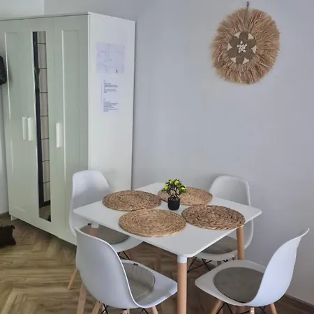 Nsa Student With Parking Place 1 Sofía